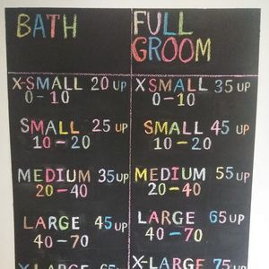 Meet your Posher, Dawn